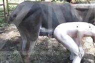 Zoo Sex Lol