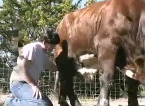 Horny fellow is not afraid to put his dick inside of an animal