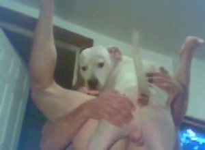 Anal bang for a zoophile dude from his white dog