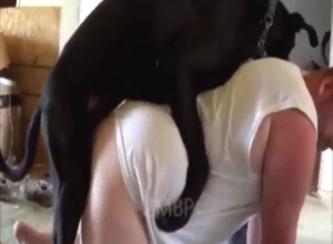 Bestiality porn with a black dog fucking that ass