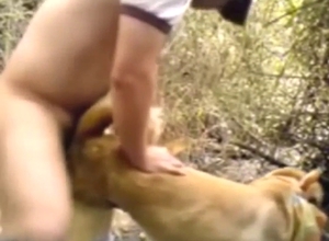 Bestiality porn with dog that takes his HARD peen