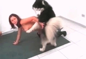 Two Latinas fuck a dog in a barren room
