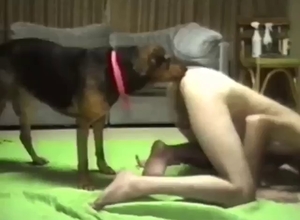 Zoo XXX with a guy who fucks his dog hard
