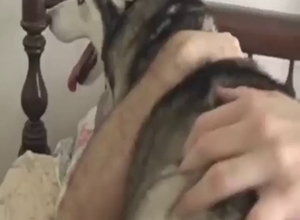 Horny guy with a round ass fucks a sexy dog