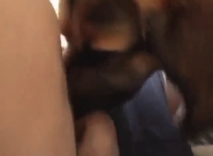 Zoo XXX looks great as we enjoy dog licking