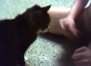 Zoo sex with a sexy cat that gets cummed on