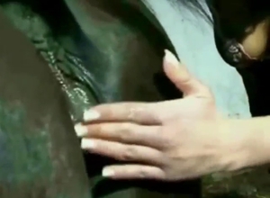 Mare's gorgeous pussy fingered by a brunette