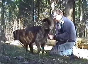 Amazing porn movie with a guy who rims hard