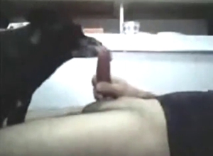 Black dog worshipping a guy's hard cock here
