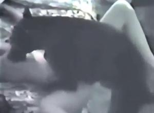 Confident mommy in bestiality porn with licking