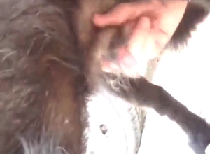 Dog's dick jerked off in zoo XXX passion video