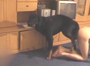 Tight-assed dude fucked by his black dog