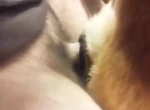 Bigger dick makes the dog moan louder for the cam