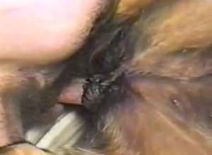 Guy with a relentless cock fucking a slutty beast