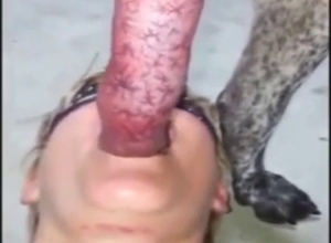 Blowjob and orgasms with a sexed-up zoophile