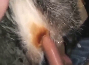 Badger fucker is going to get brilliantly kinky