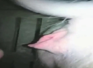 Dude is going to cum inside his own slutty pig